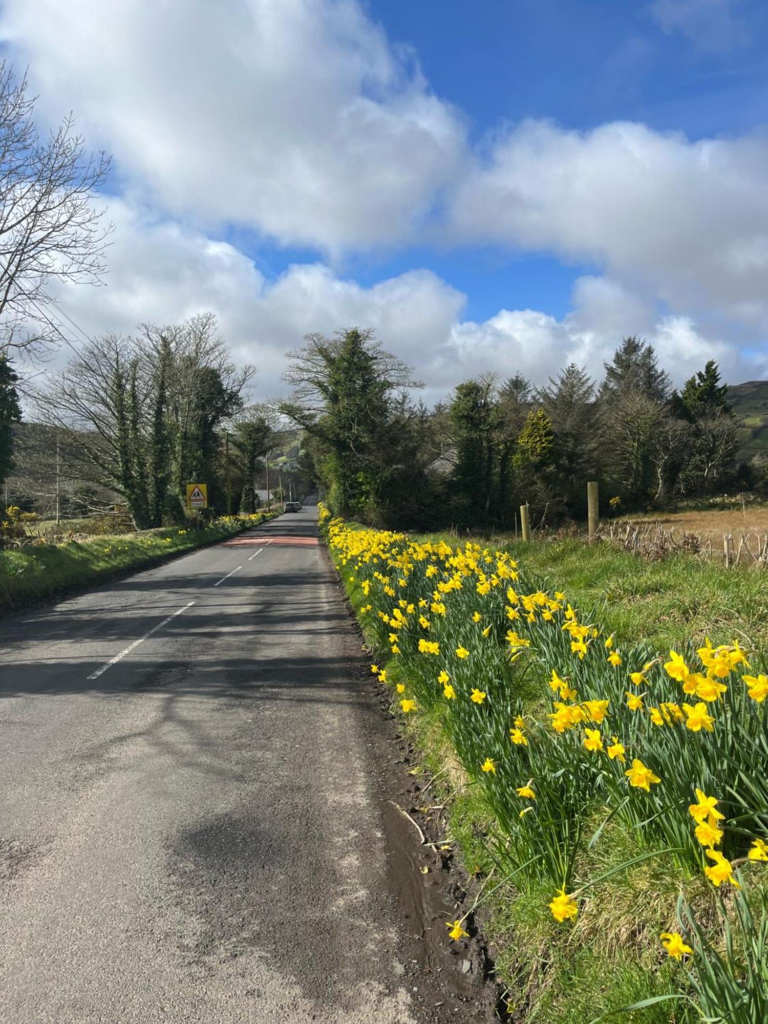 Tavnaghoney Cottages Cushendall Exteriör bild