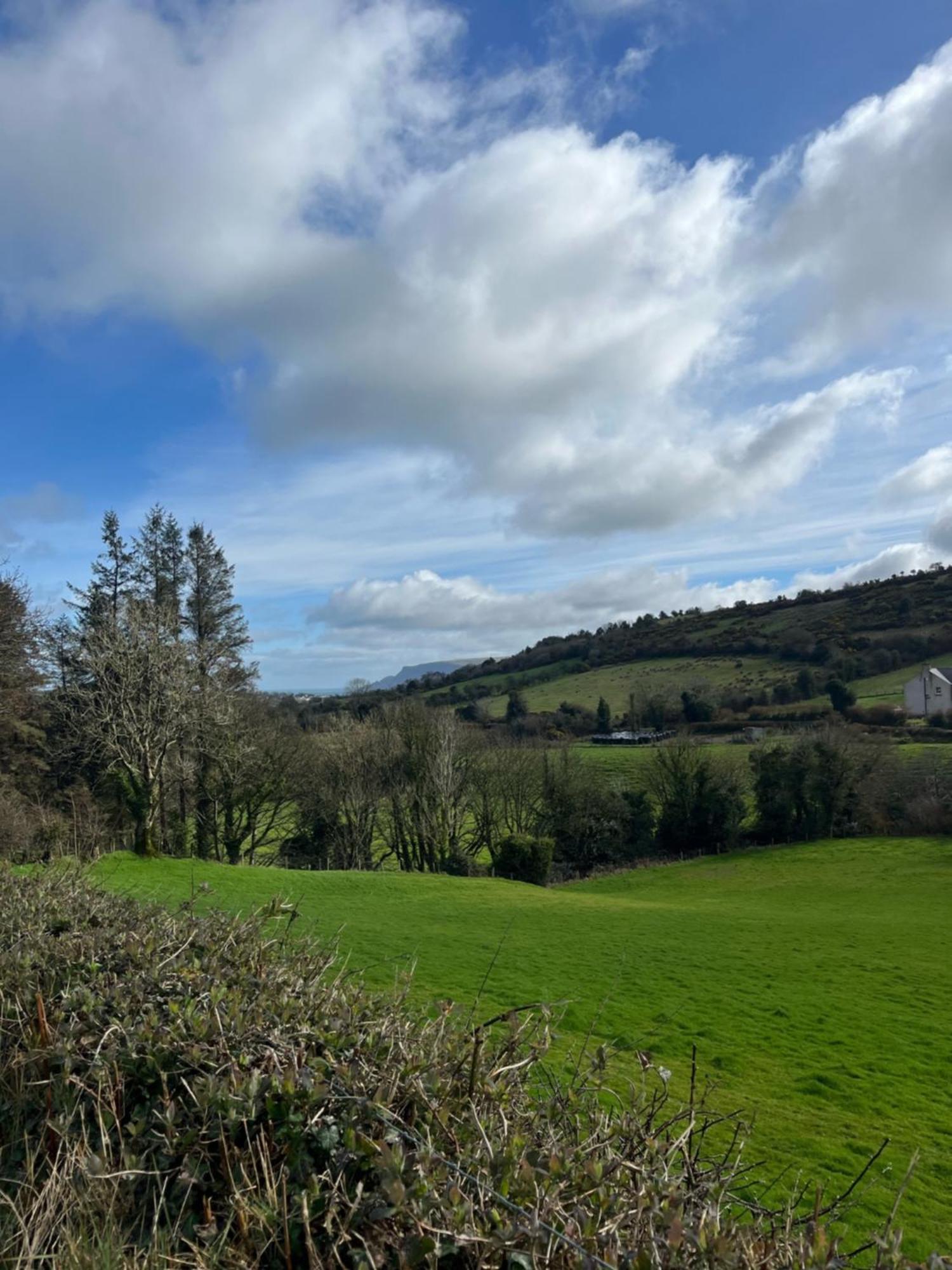 Tavnaghoney Cottages Cushendall Exteriör bild